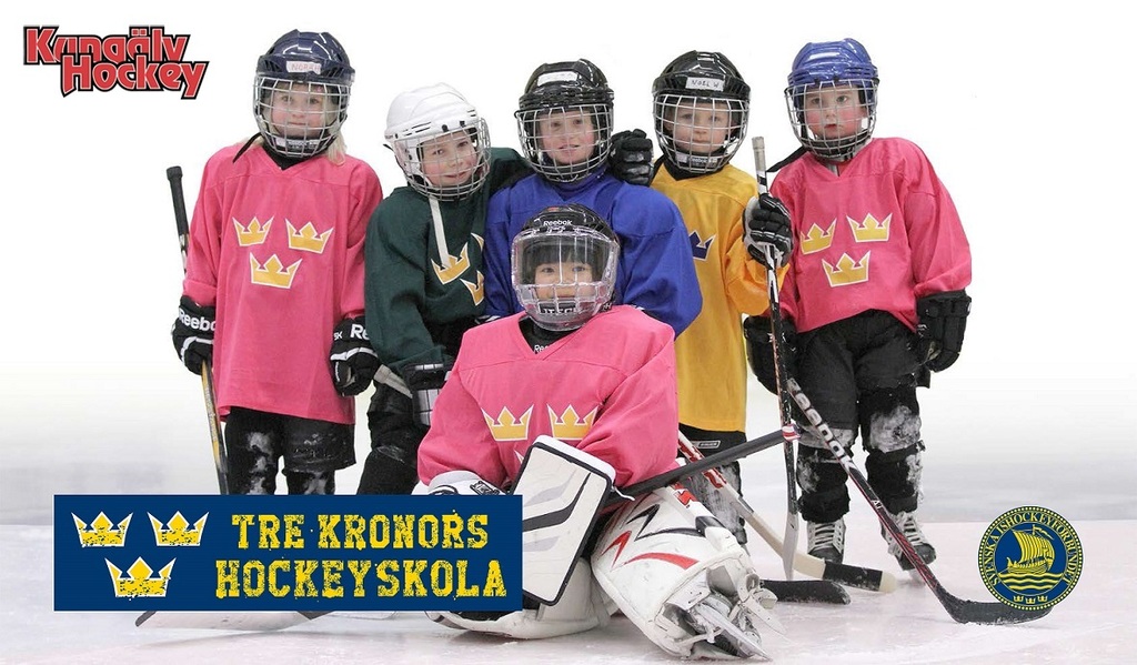 Hockeyskola 2015