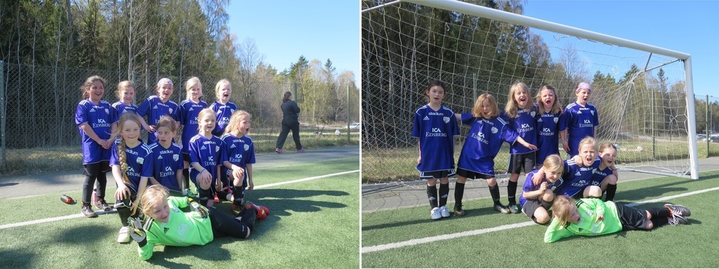 Svartplusvit