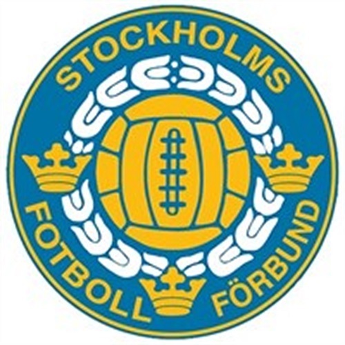 Sthfotboll 500 500