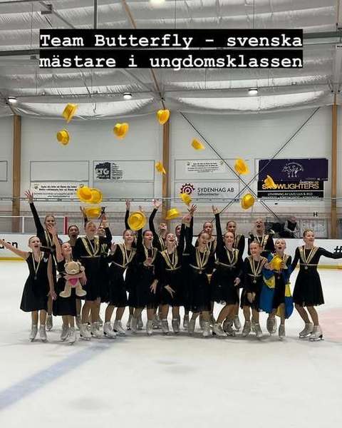 Svenska ungdomsmästare 2024-2025