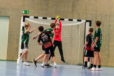 Helsingborg Cup 30 aug mot Malmö HK 
